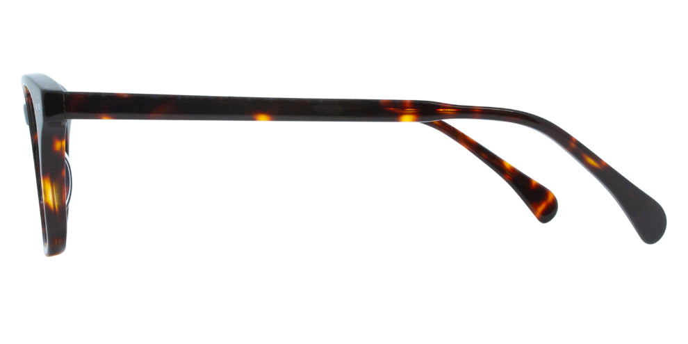 Sunset Eyeglasses