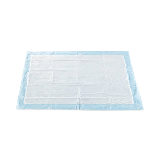 McKesson Moderate Absorbency Underpad, 23 x 36 Inch, 6 ct