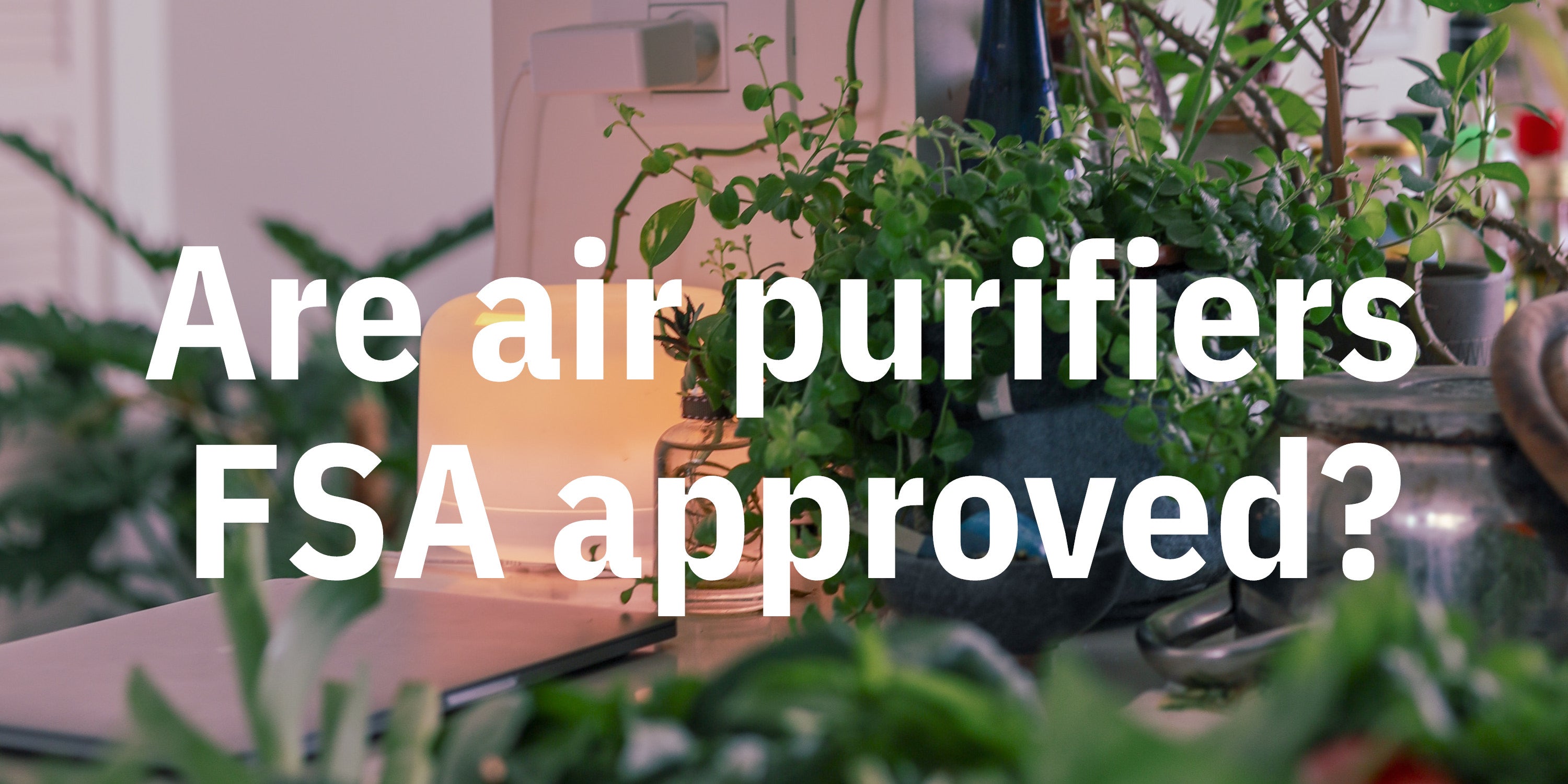 Are air purifiers FSA approved? BuyFSA