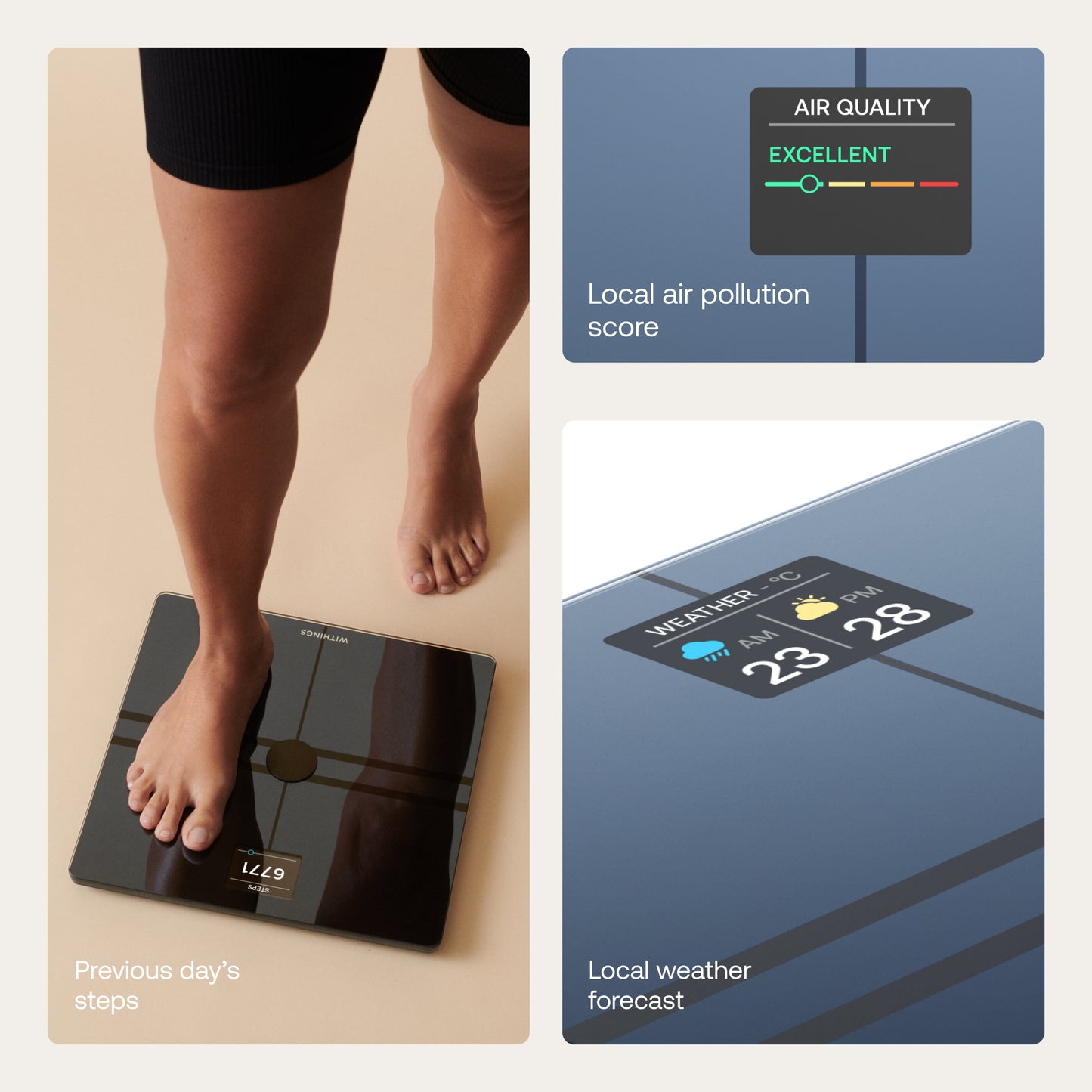 Withings Body Comp Complete Body Analysis Smart Wi-Fi Scale