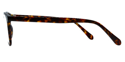 Ventura Sunglasses