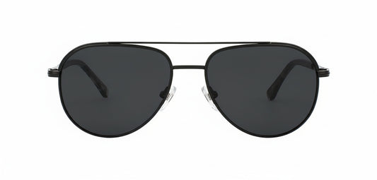 Beck Sunglasses