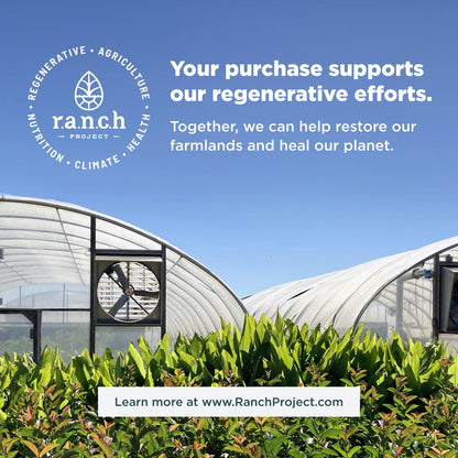 Ancient Nutrition Prenatal Multivitamin, 90 ct., Multipack