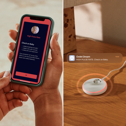 Owlet Dream Duo™ (Gen 3) Smart Baby Monitor with Sock