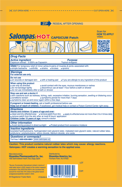 Salonpas® Hot Capsaicin Topical Pain Relief, Large, 3 ct.