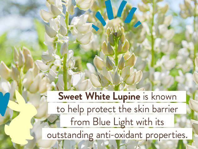 Babo Botanicals Daily Sheer Tinted Mineral SPF 50 Sunscreen Lotion, 1.7 oz.