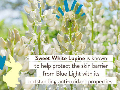 Babo Botanicals Daily Sheer Tinted Mineral SPF 50 Sunscreen Lotion, 1.7 oz.