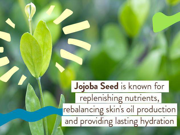 Babo Botanicals Daily Sheer Tinted Mineral Sunscreen Lotion, SPF 30, 1.7 oz.