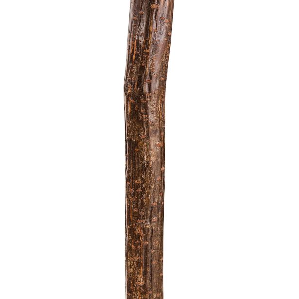 Brazos Assorted Hardwood Knob Root Rustic Walking Cane, 37-Inch Height