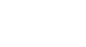 Bare Republic logo