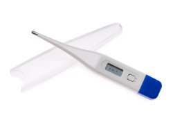 McKesson Digital Oral Thermometer