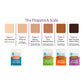 Tru-Colour Skin Tone Bandages Variety Pack, Latex-Free Adhesive Bandage